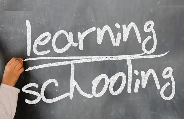 How to Leverage Reflection for Continuous Growth in Teaching