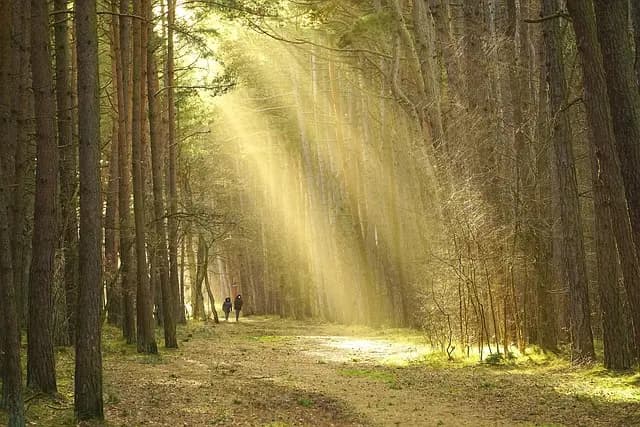 10 Tips for Navigating Your Teaching Journey Successfully