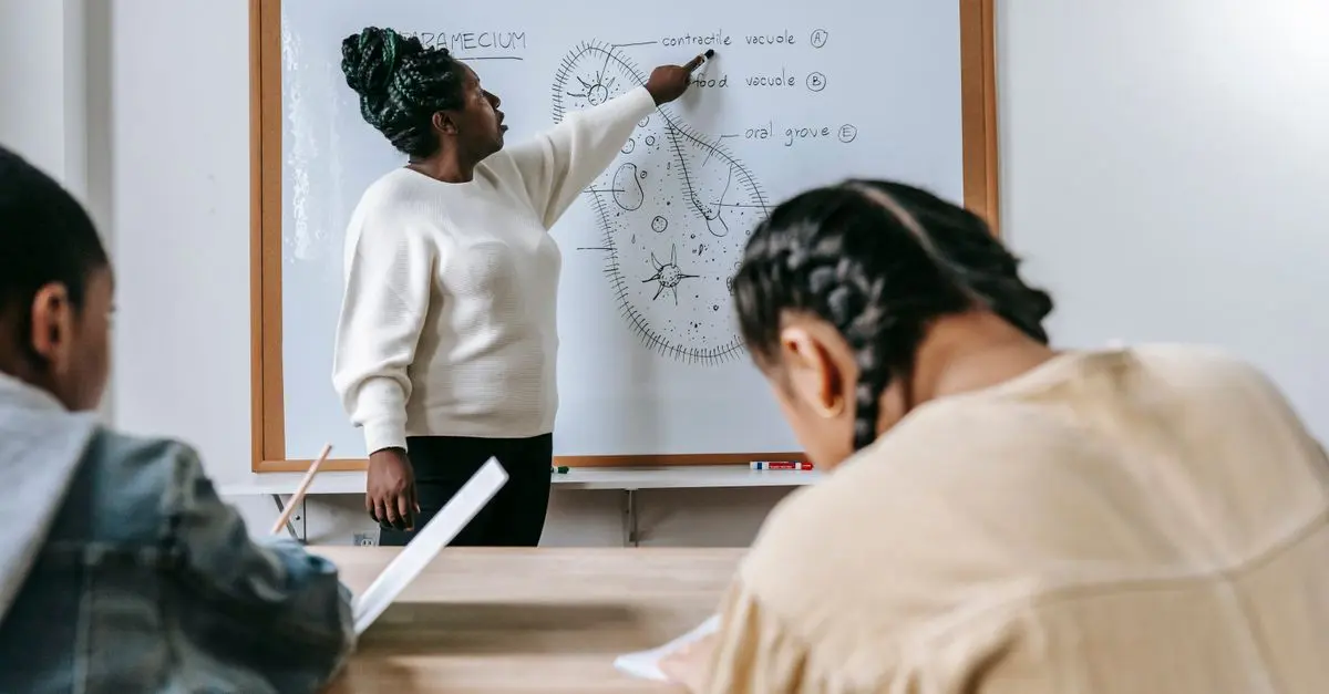 Navigating the Stages of Your Teaching Journey