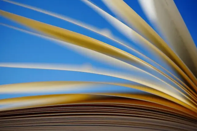 10 Essential Tips for Navigating the Early Stages of Your Teaching Journey